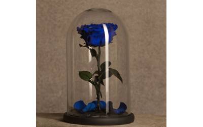 Синяя роза в колбе